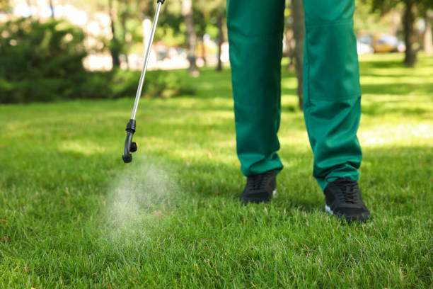 Best Bed Bug Extermination  in Taylorsville, MS