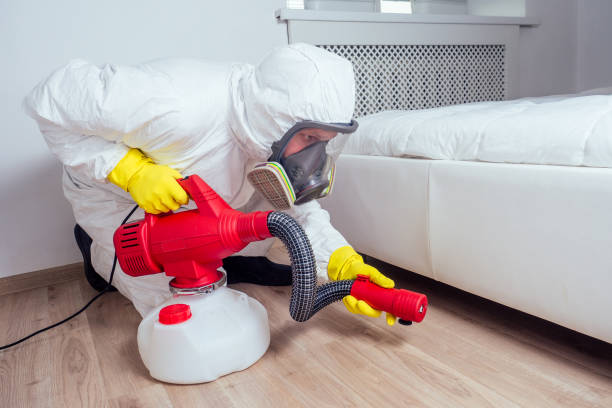 Best Emergency Pest Control  in Taylorsville, MS