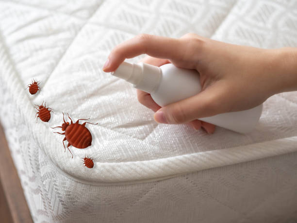 Best Affordable Pest Control Services  in Taylorsville, MS