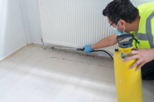 Best Termite Control Services  in Taylorsville, MS